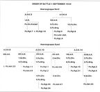 Polenfeldzug '39 - jednostki niemieckie